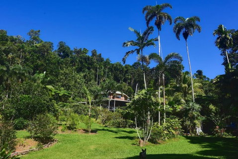 A Daintree Garden - Kingaroy Accommodation 0