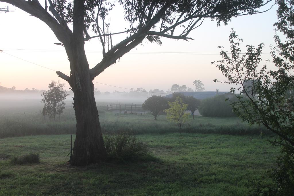 Arbuckle VIC Kingaroy Accommodation