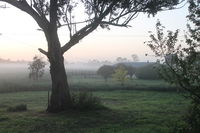 Book Heyfield Accommodation Vacations Kingaroy Accommodation Kingaroy Accommodation