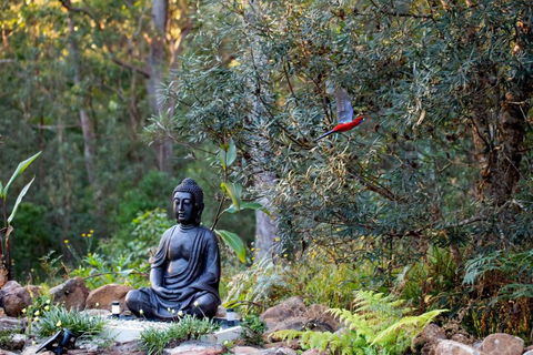 Dorrigo Bush Pepper Retreat - Kingaroy Accommodation 4