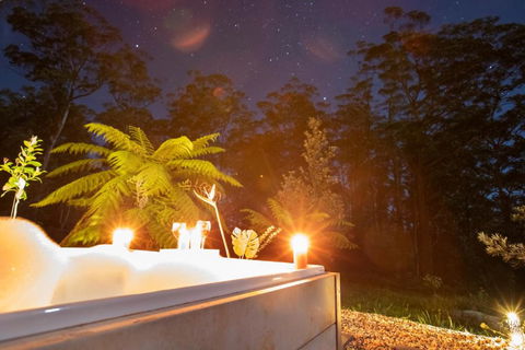 Dorrigo Bush Pepper Retreat - Kingaroy Accommodation 2