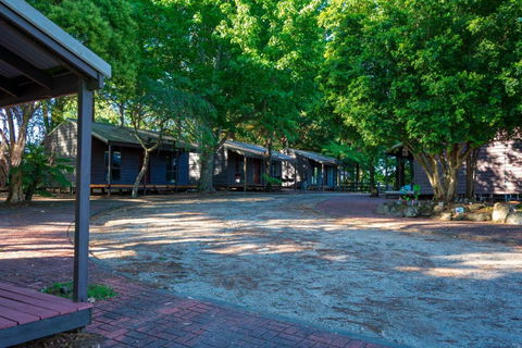 Dorrigo Mountain Holiday Park - Kingaroy Accommodation 2