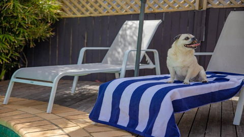 Fairways Beach House Sawtell - Kingaroy Accommodation 3