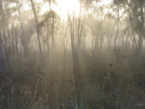 Fergies Hill Spa Cottage @ Granite Ridge Wines - Kingaroy Accommodation 1