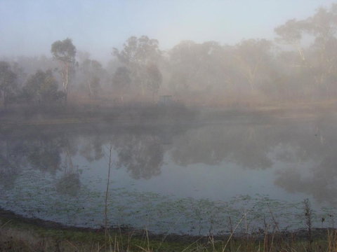 Fergies Hill Spa Cottage @ Granite Ridge Wines - Kingaroy Accommodation 4