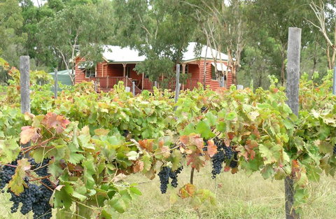 Fergies Hill Spa Cottage @ Granite Ridge Wines - Kingaroy Accommodation 0