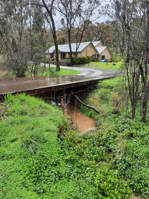 Frogmouth Hollow - Kingaroy Accommodation 4