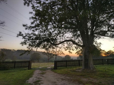 Galah Cottage Stanthorpe - Kingaroy Accommodation 3