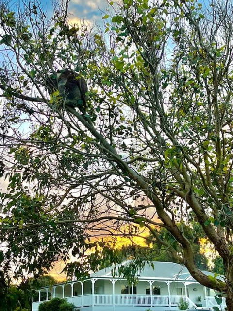 Galbraith Beach Studios - Studio 1 - Kingaroy Accommodation 1