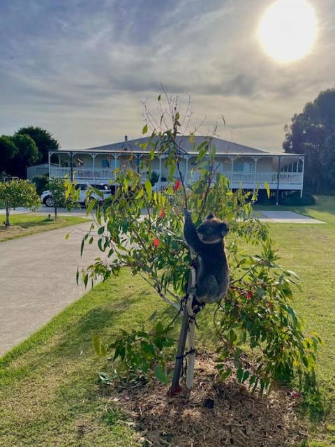 Galbraith Beach Studios - Studio 2 - Kingaroy Accommodation 2