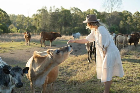 Golden Hill Farmstay By Tiny Away - Kingaroy Accommodation 4