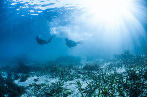 Golf Place Inn Wollongong - Kingaroy Accommodation 2