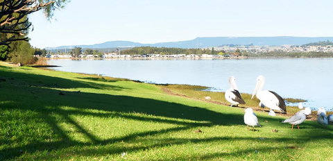 Golf Place Inn Wollongong - Kingaroy Accommodation 3