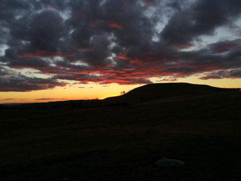 GOULBURN ALPACA FARM STAY - Kingaroy Accommodation 2