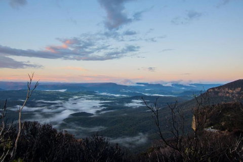 Harmonica - Unique Modern Chic Apartment - Kingaroy Accommodation 0