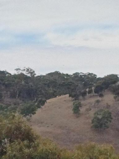 HighRoost Bed & Breakfast Accomodation - Rural Escape - Kingaroy Accommodation 1