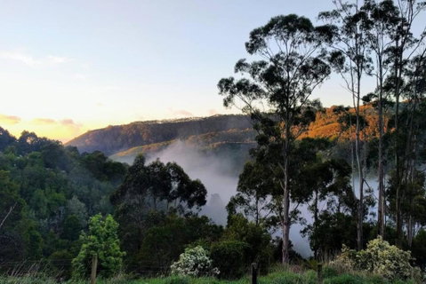 HILLSIDE HOUSE - Kingaroy Accommodation 2