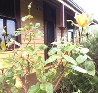 Albion Cottage - Kingaroy Accommodation