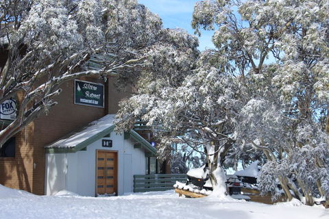 Alpine Retreat Mt Buller - Kingaroy Accommodation 0