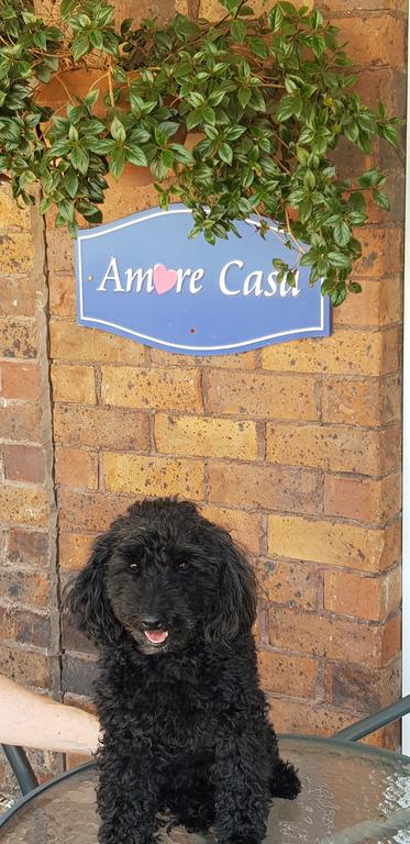 Amore Casa Tenterfield - Kingaroy Accommodation 2