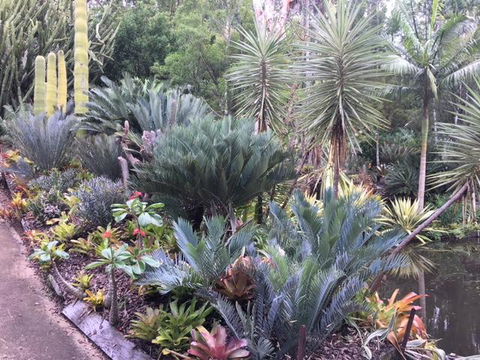 Ancient Gardens Guesthouse & Botanical Gardens - Kingaroy Accommodation 2