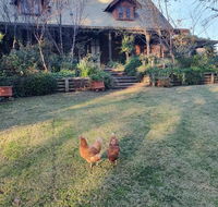 Angaston by the Winter Creek - Kingaroy Accommodation