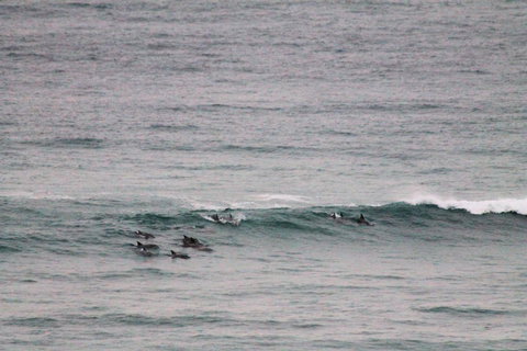 Apartment On King Street - Kingaroy Accommodation 1