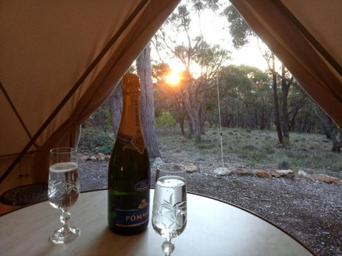 Macedon Ranges Glamping - Kingaroy Accommodation 2