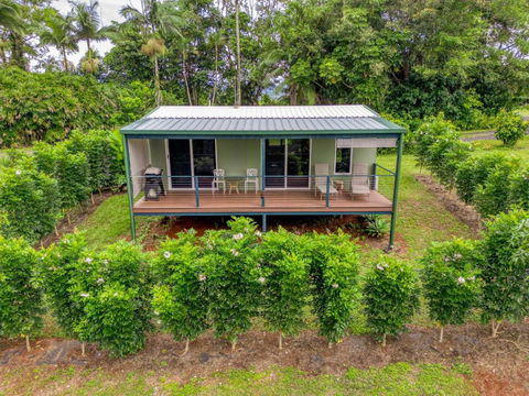 Mena Creek Flower House - Kingaroy Accommodation 2