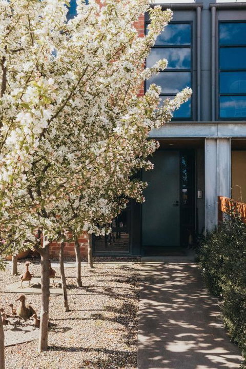 Mews Cottages - Kingaroy Accommodation 2
