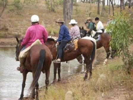 Misty Mountain Retreat By Tiny Away - Kingaroy Accommodation 2