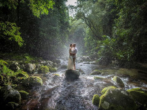 Misty Mountains Hideaway - Kingaroy Accommodation 3