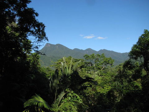 Mossman Gorge Bed And Breakfast - Kingaroy Accommodation 0