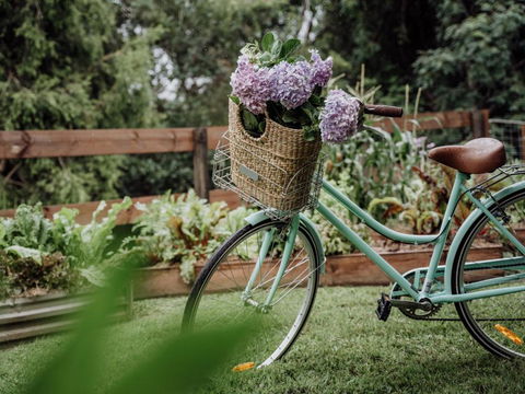 Mountview Alpaca Farmhouse - Kingaroy Accommodation 2
