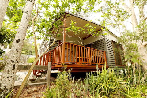 Mt Warning Rainforest Park - Kingaroy Accommodation 1