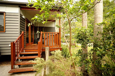 Mt Warning Rainforest Park - Kingaroy Accommodation 0
