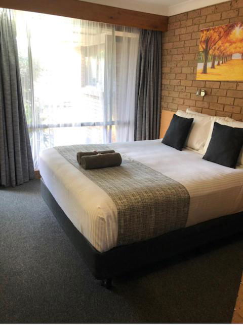 Muswellbrook Motor Inn - Kingaroy Accommodation 2