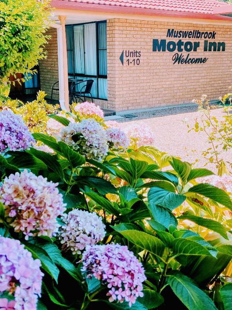 Muswellbrook Motor Inn - Kingaroy Accommodation 0