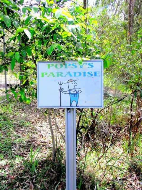 Nature Retreat & Artists Studio 90mins From Sydney - Kingaroy Accommodation 3