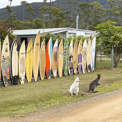NOFOMO AT ADVENTURE BAY - Kingaroy Accommodation 0