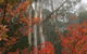 Olinda Enchanted Tower Spa Gas Log Fire And Netflix - thumb 2