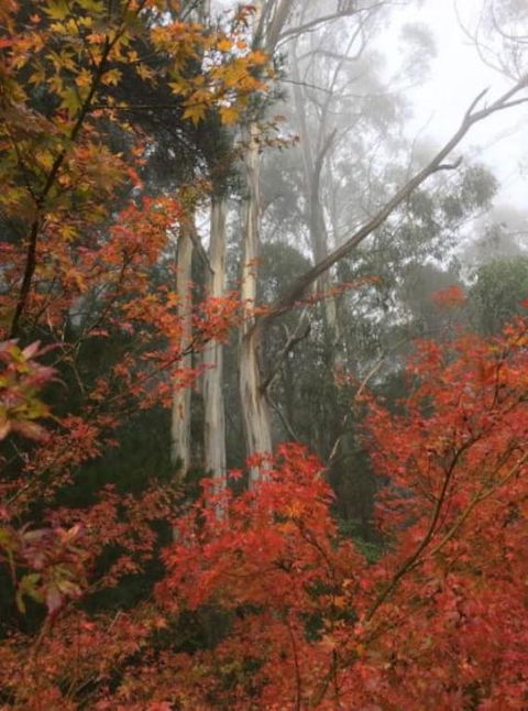 Olinda Enchanted Tower Spa Gas Log Fire And Netflix - Kingaroy Accommodation 2