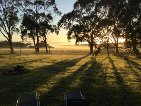 Olivi - Kingaroy Accommodation 0