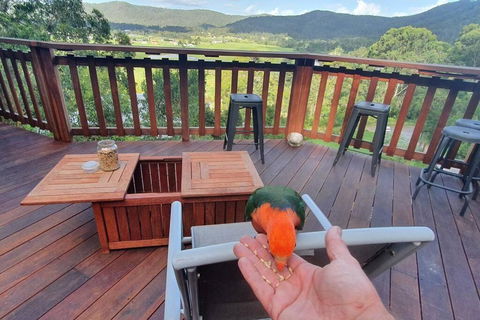 Paterson Skywalk - Kingaroy Accommodation 3