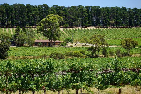 Picturesque Vineyard Farmhouse Nestled On 40-Acres - Kingaroy Accommodation 0