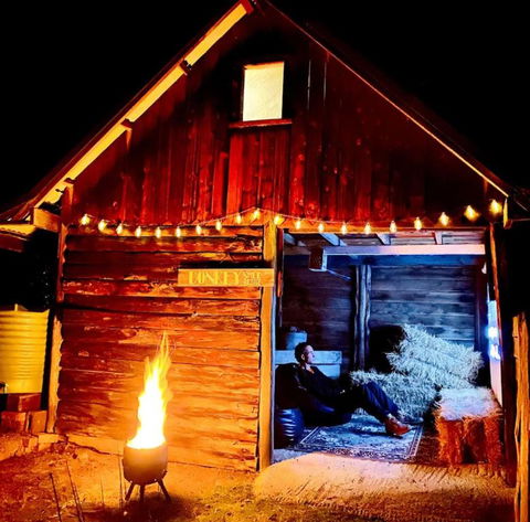Poets Ode Featuring The Donkey Shed Theatre - Kingaroy Accommodation 2