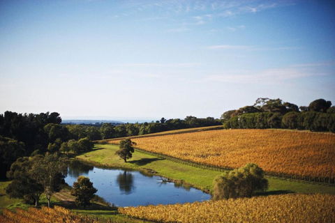 Port Phillip Estate - Kingaroy Accommodation 2