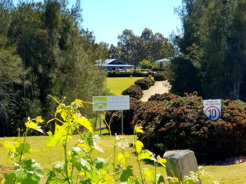 Red Door Collective - RDC Vineyard Estate, Luxury Adult Only Stay - Kingaroy Accommodation 0