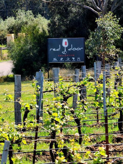 Red Door Collective - RDC Vineyard Estate, Luxury Adult Only Stay - Kingaroy Accommodation 1