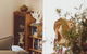 Quaint And Intimate 1-bed Seaside Cottage - thumb 1
